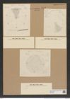 Aulacodiscus amoenus Grev. (de-Toni-Nr.: Genus 182, Species 4529) Zeichnungen Sammlung Grunow Nr. 8116 (NHMW-BOT-W0377463)